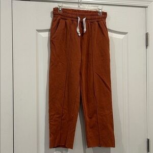 Urban Outfitters Rust Sweatpants